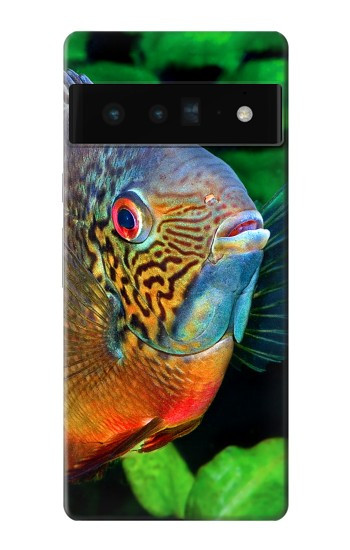 S1812 cichlidés poisson Etui Coque Housse pour Google Pixel 6 Pro